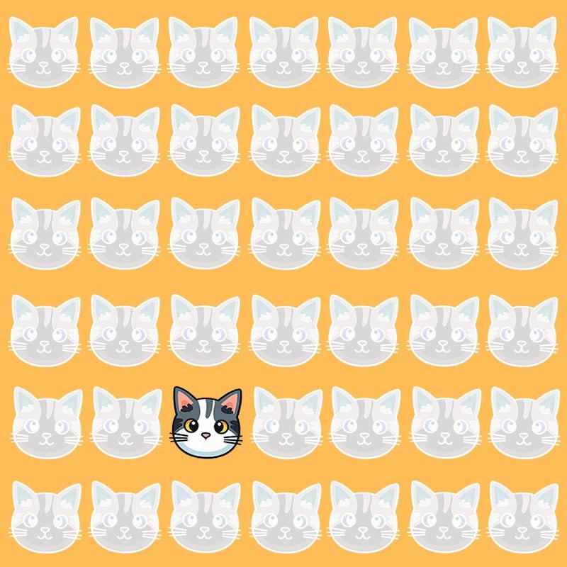 See optiline illusioon on võimalik ainult inimestele, kellel on suurepärane IQ / pilt Moje