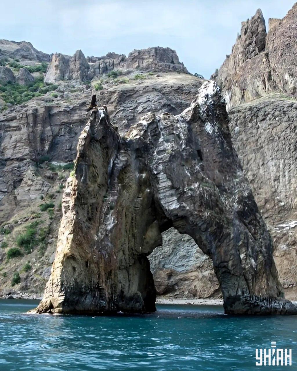 Peate leidma mõistatuspildilt kotka vähem kui 10 sekundiga / fotodega kollaaž Moje