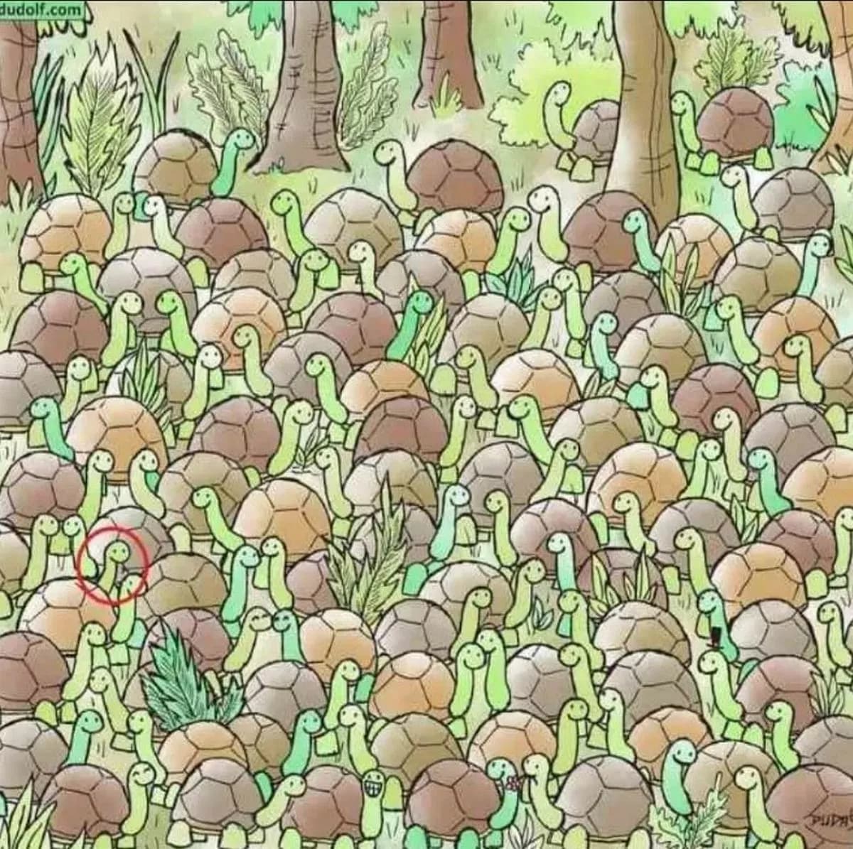 Mõistatuse õige vastus