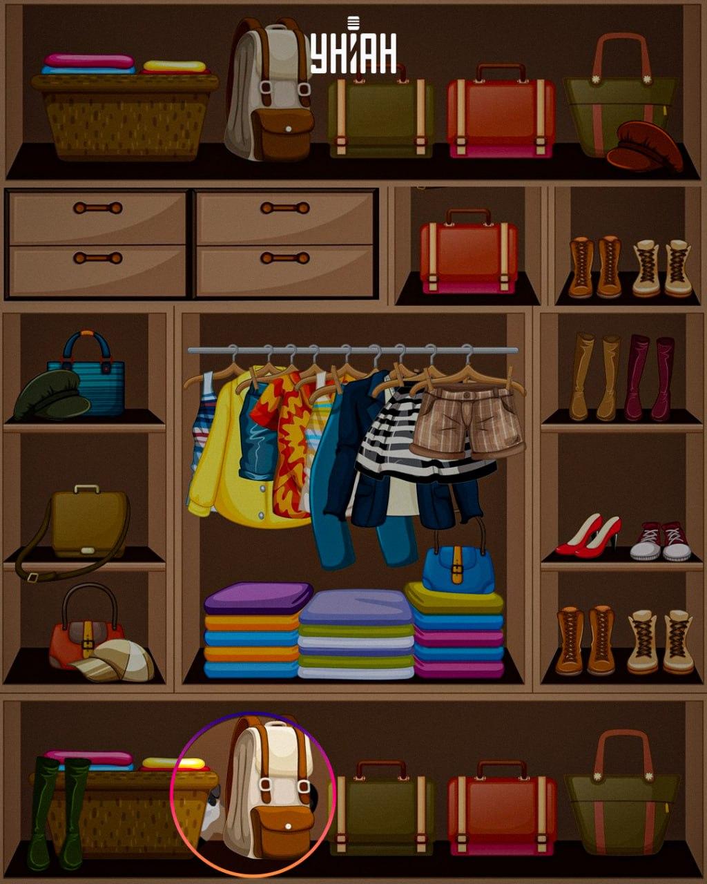 Kaval loom asetati pildi / kollaaž Moje alla