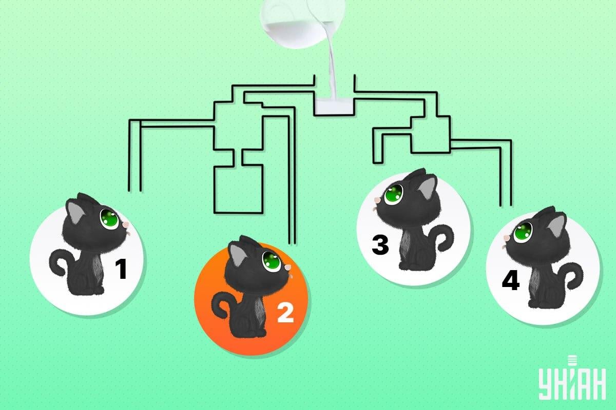 Õnnelik kass oli number 2 / kollaaž Moje