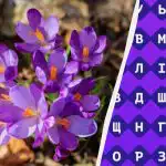 Ainult 1% inimestest leiab sõna "krookus" 11 sekundiga: väga raske