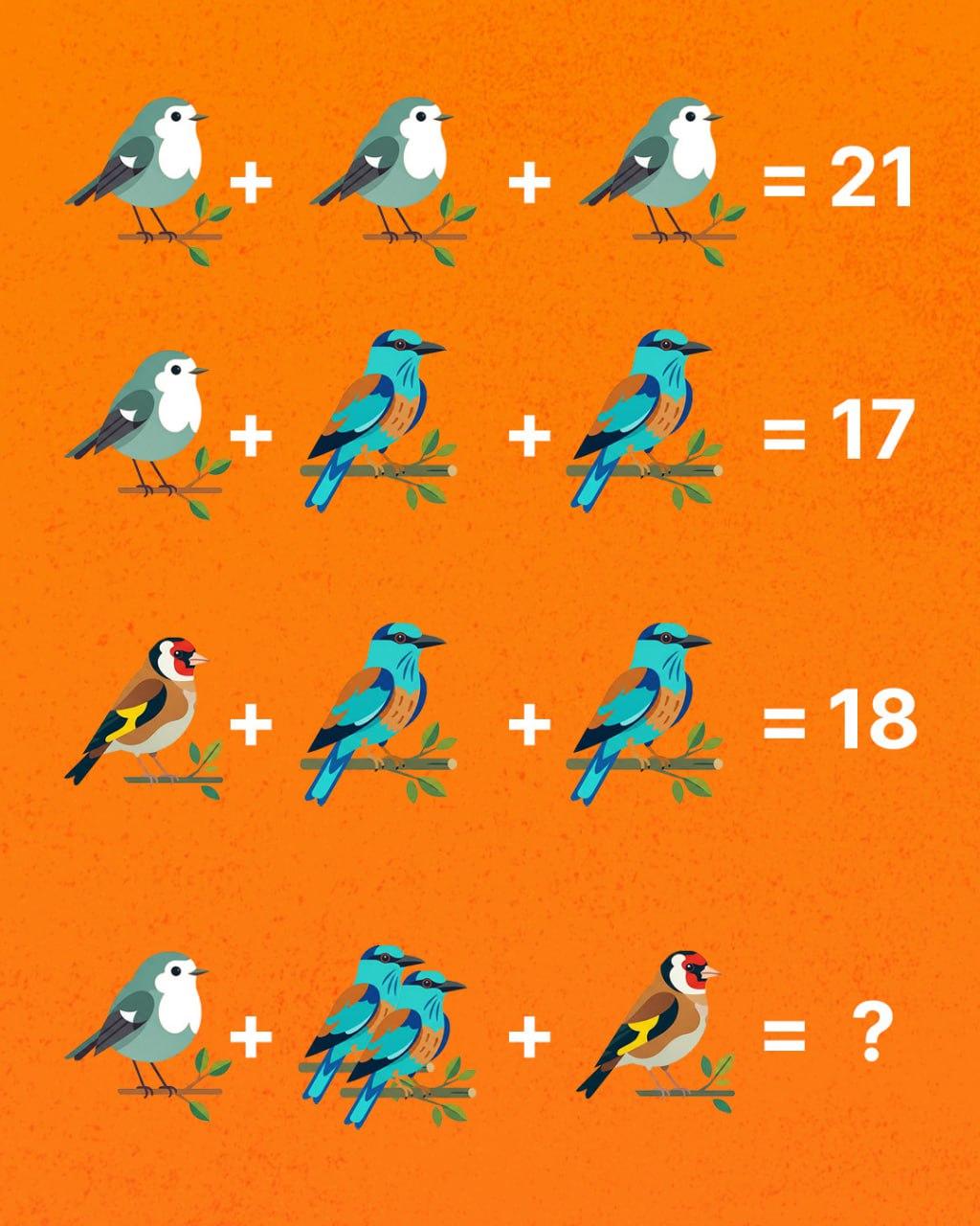 Ainult geenius suudab kõiki linde kokku lugeda: üllatavalt raske mõistatus