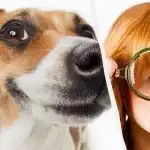 Ainult tõeline IQ titaan näeb koera lumes 10 sekundiga: hingemattev