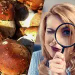 Ainult ülivõimsa IQ-ga inimesed näevad 15 sekundiga seente vahel kivi: