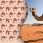 Kummalise kaameli leiab vaid tänapäevane "Sherlock Holmeses": mõistatus kõige targematele