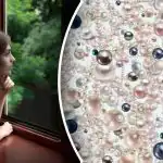 Optiline illusioon kõige tähelepanelikumale: peidetud teemanti leiavad üles ainult geeniused