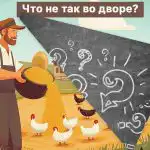 Peate 5 sekundiga leidma maahoovist suure putuka: lõbus IQ-test