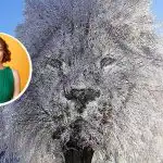 "Suletud" või "seltskondlik" inimene: mida võib teie kohta öelda optiline